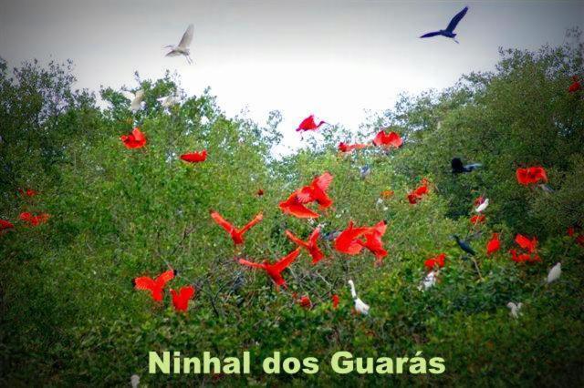 Pousada Real Ilha Comprida Buitenkant foto
